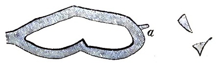 Figure 3&5