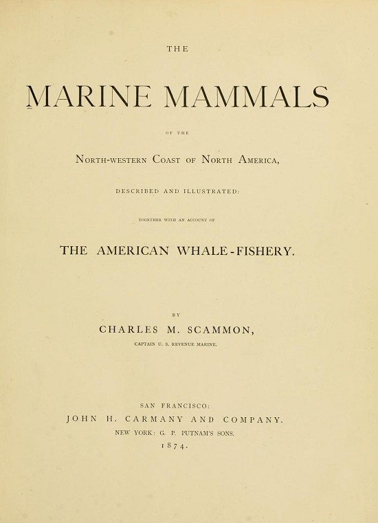 title page