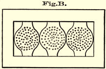 Fig B. Frame with multiple holes.