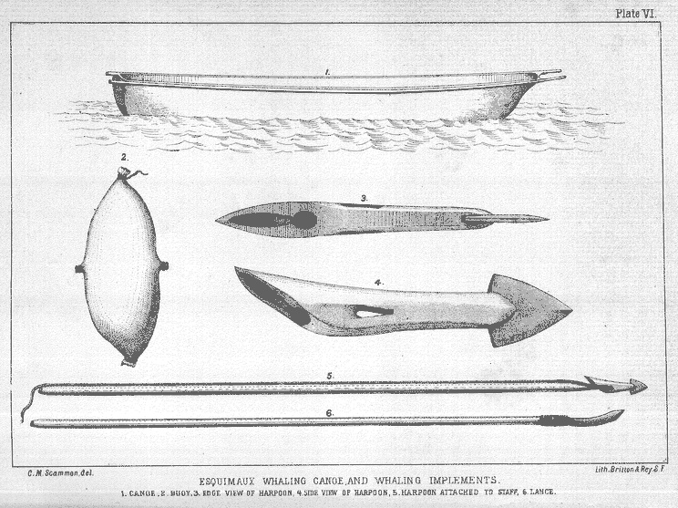 Scammon - Esquimaux Whaling Canoe, and Whaling Implements: 1. Canoe. 2. Buoy. 3. Edge View of Harpoon. 4. Side View of Harpoon. 5. Harpoon Attached to Staff. 6. Lance.