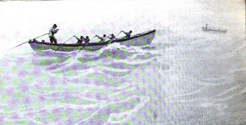 Whale-boat