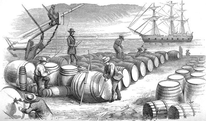 Potter Jackson, a free black man who worked as a seaman, tied to riggings  of ship and being whipped by the ship's captain and another man; and view  of his back after