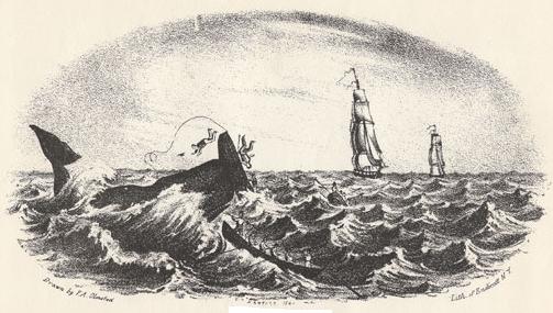 18th Century American Walnut Boot Jack: Skipjack Nautical Wares