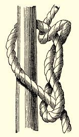 Timber hitch