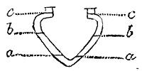 Cross section of canoe