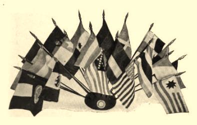 flag image