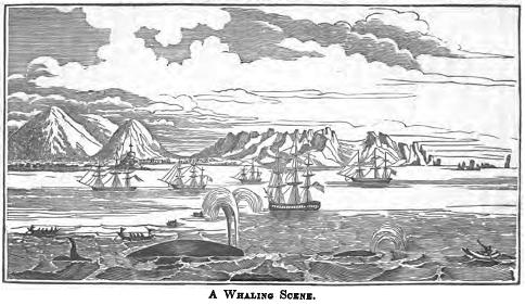 A WHALING SCENE