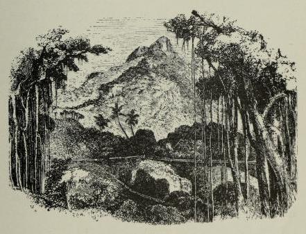 Mountain peak on Pitcairn Island