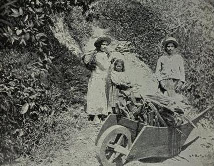 Children and Wheelbarrow