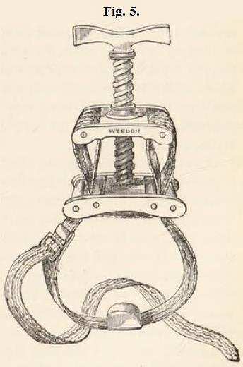 Fig.5.
