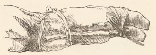 Fig. 13.
