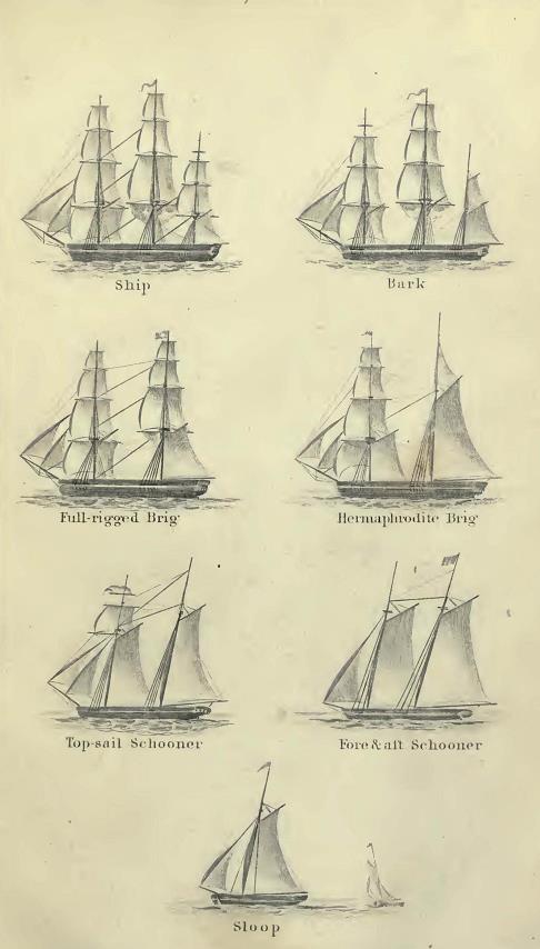 Vessel Identification (Plate IV) from Richard Henry Dana Jr.'s 