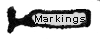 Markings found on whalecraft.
